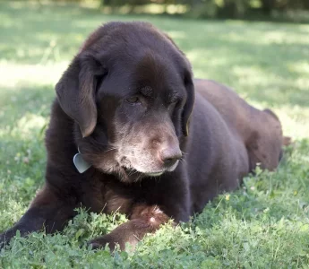 Lola 11ans 22.webp