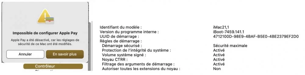 Apple Pay.webp
