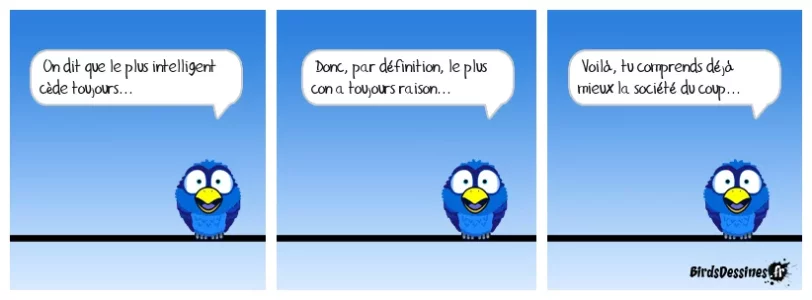 birds.webp