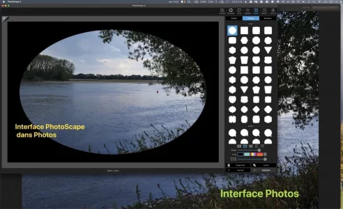 1667294817952.webp 1667294817952.webp