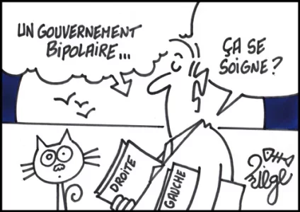 bipolaire.webp