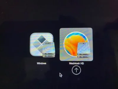 IMG_7907.jpg IMG_7907.jpg