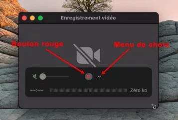 Capture d’écran.webp