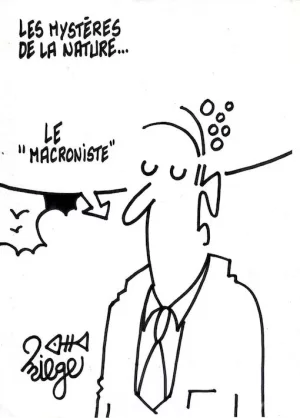 Macronistes copie.webp