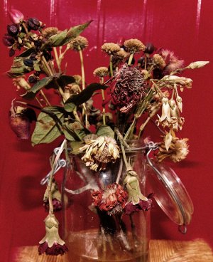 Bouquet-fané.jpg