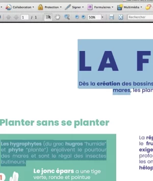 Capture d’écran 2022-11-16 à 14.34.47.webp