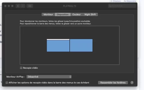 toto copie.webp