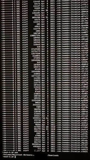B831BA6E-9444-47D0-B11B-381EBFB566B7.webp