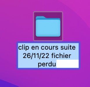 Capture d’écran 2022-11-30 à 11.53.42.png