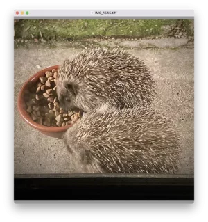 Capture d’écran 2022-12-12 à 03.06.18.webp