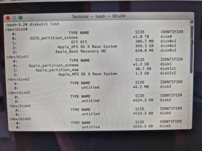 imac diskutil list.jpg