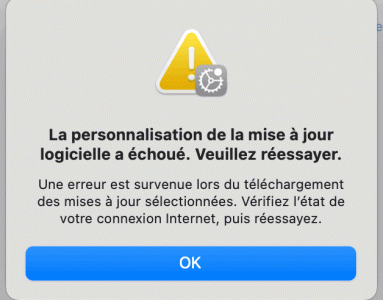Capture d’écran, le 2022-12-15 à 14.51.34.gif