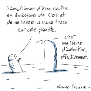 CO 2.webp