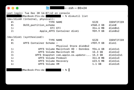 diskutil list.webp