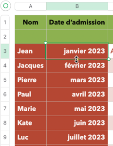 PNG50 - Capture d’écran 2022-12-22 à 00.22.27 (colonnes en-tête).png