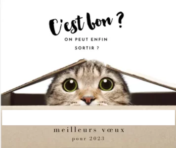 Capture d’écran 2022-12-31 à 20.55.50.png