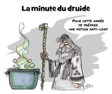 druide copie.webp
