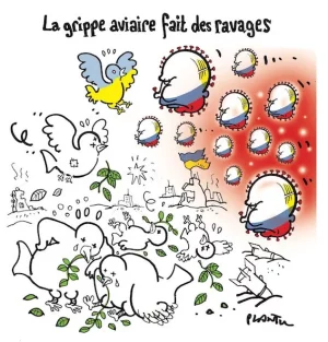 aviaire copie.webp