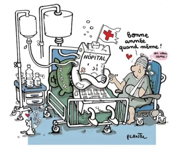 bonne année copie.webp