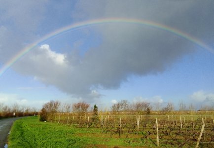 Arc-en-ciel-complet.jpg