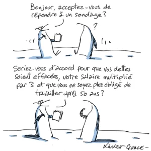 sondage.webp
