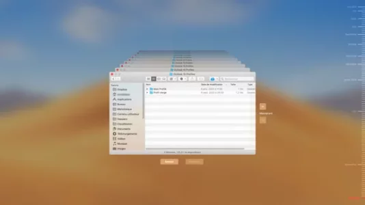 Capture d’écran 1.webp