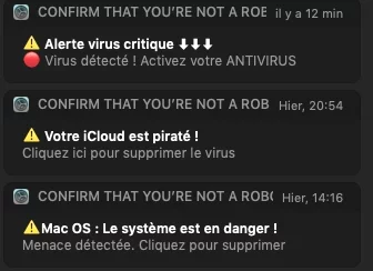 Capture d’écran 2023-01-25 à 11.07.20.png