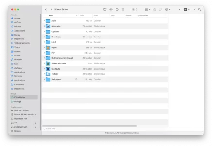 Capture d’écran 2023-03-06 à 15.53.46.webp