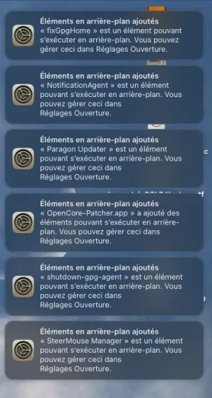 Capture d’écran 2022-11-09 à 19.03.22.webp