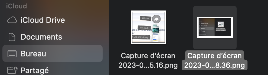 Capture d’écran 2023-03-18 à 20.31.55.png