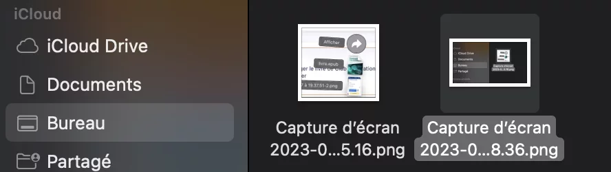 Capture d’écran 2023-03-18 à 20.31.55.webp