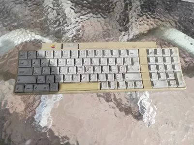 1680427135880.jpg