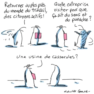 cesseroles.webp