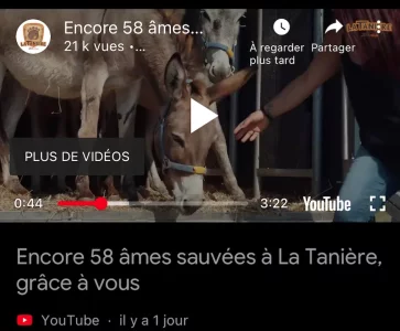 capture-écran 2023-06-07 à 11.37.51.webp capture-écran 2023-06-07 à 11.37.51.webp