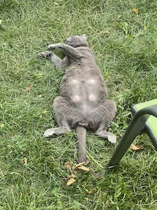 IMG_3359.webp IMG_3359.webp