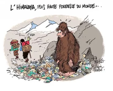 himalaya copie.webp
