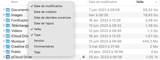 Capture d’écran 2023-06-18 à 11.25.17.png