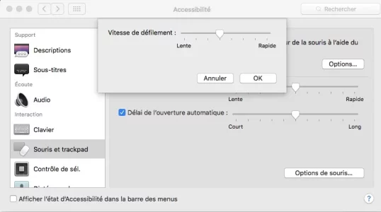 souris.webp
