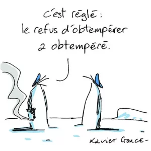 obtempéré copie.webp