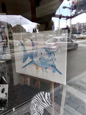 IMG_20230705_132822 2.jpg