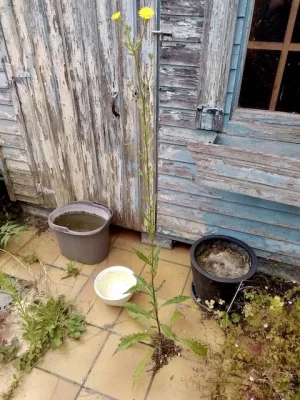 IMG_20230706_140245 2.webp IMG_20230706_140245 2.webp