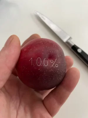 IMG_0165.webp IMG_0165.webp