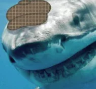 Capture d’écran 2023-07-23 à 17.20.35.webp