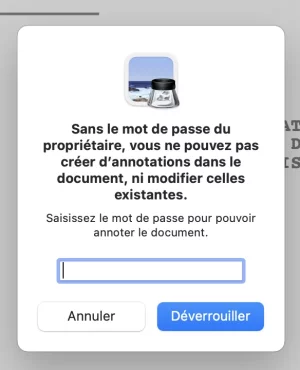 Capture d’écran 2023-07-29 à 10.44.52.webp