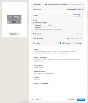 Capture d’écran Mario.webp