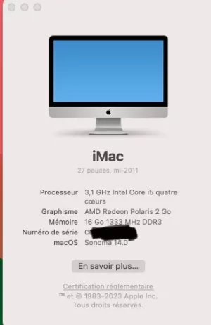 3.webp
