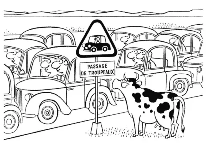 troupeaux.webp