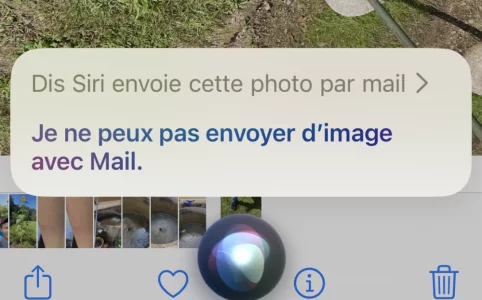 1692858081706.webp