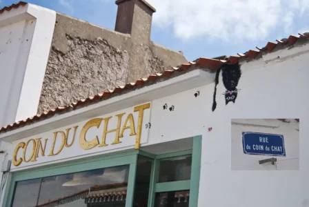 Coin-du-chat.jpg