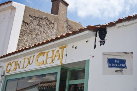 Coin-du-chat.jpg